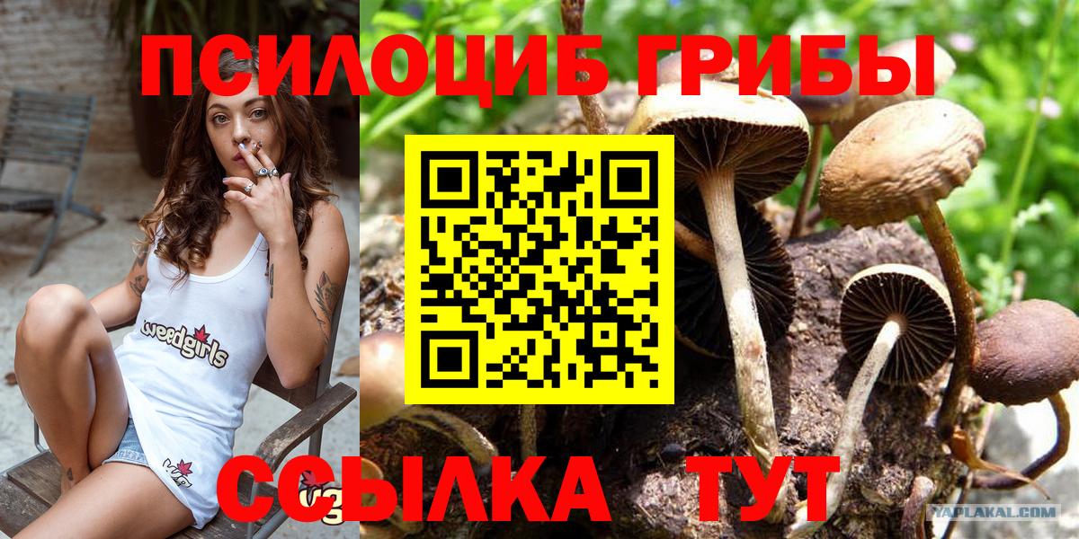 Геленджик  Галлюциногенные грибы ЛСД  Псилоцибиновые грибы MAGIC MUSHROOMS  Вход с VPN 