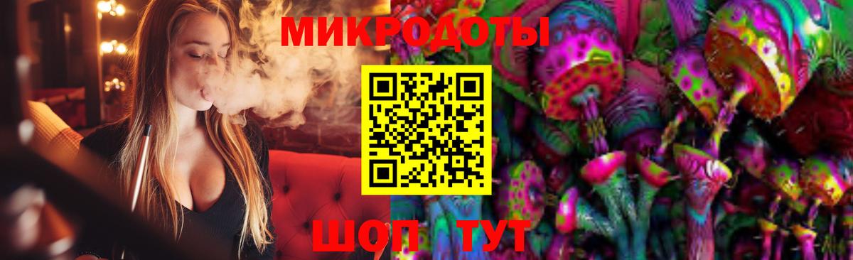Псилоцибиновые грибы мицелий Геленджик